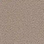 Flooring color: Azure