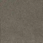 Flooring color: Fawn