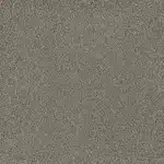 Flooring color: Oakland