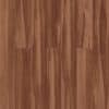 Sugar Maple