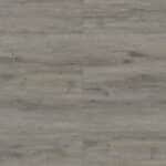 London Plane